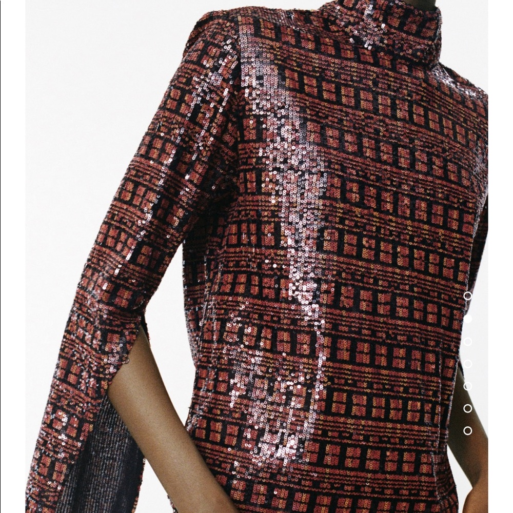 Zara sequin top bloggers fav - Picture 6 of 8